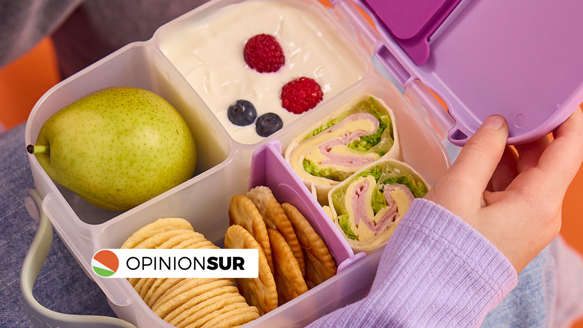 Cómo armar una lonchera saludable que aporte energía y buenos hábitos en niños y adolescentes